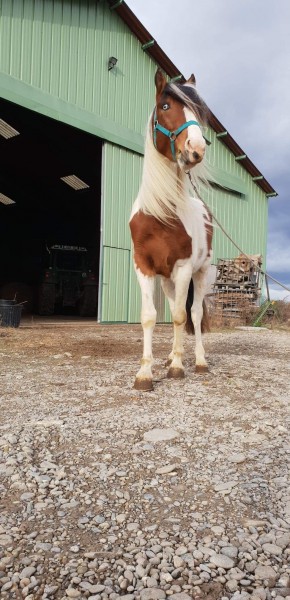 Photo de profil de 1promenade