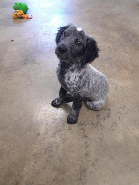 Photo de profil de 21lf