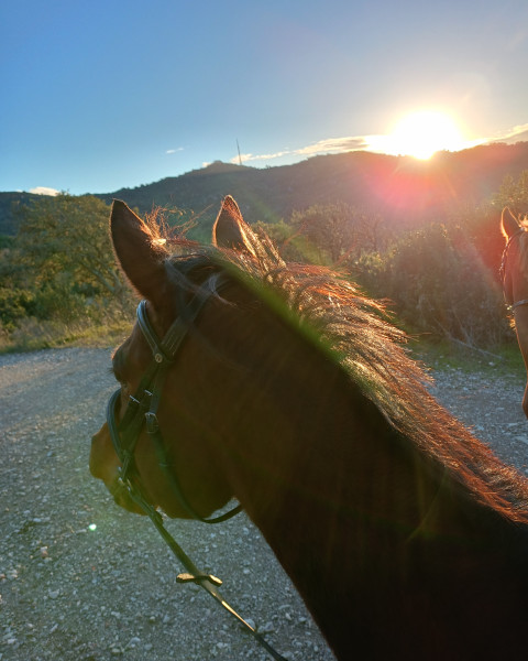 Photo de profil de 22juju