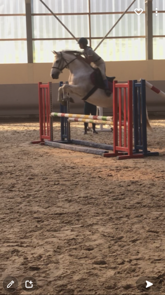 Photo de profil de 25cheval_25520