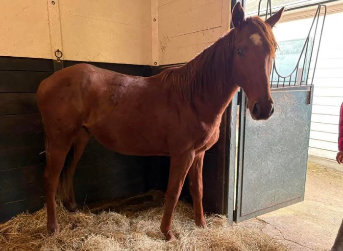 Photo de profil de 27190hiris