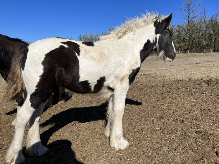 Photo de profil de 271975deborah