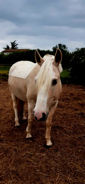 Photo de profil de 31luce31