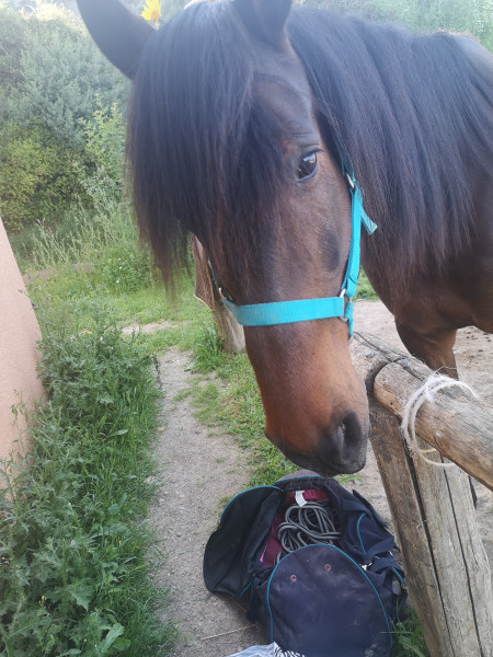 Photo de profil de 34pascale