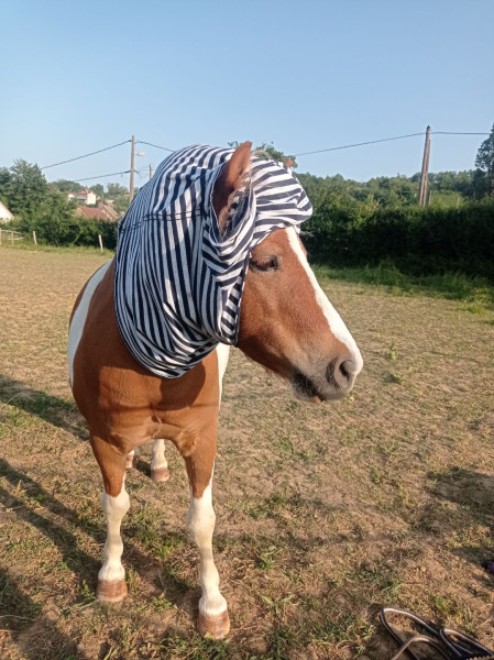 Photo de profil de 34soso