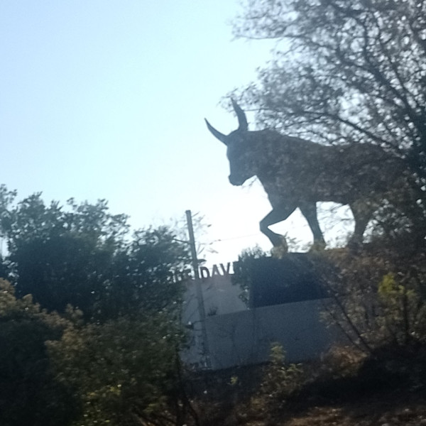 Photo de profil de 534nw