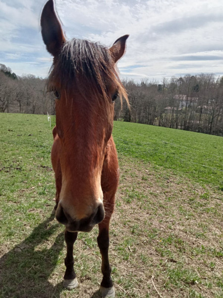 Photo de profil de 64ahetze