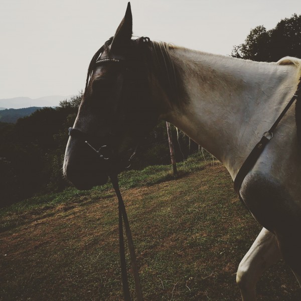 Photo de profil de 78_guizmo