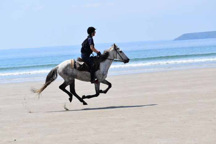 Photo de profil de 78titi