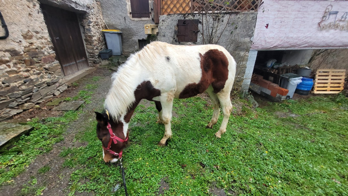 Photo de profil de 81lili