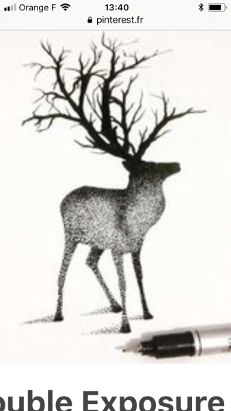 Photo de profil de 83angie