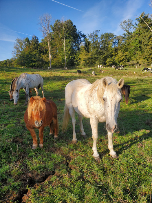 Photo de profil de 91maya
