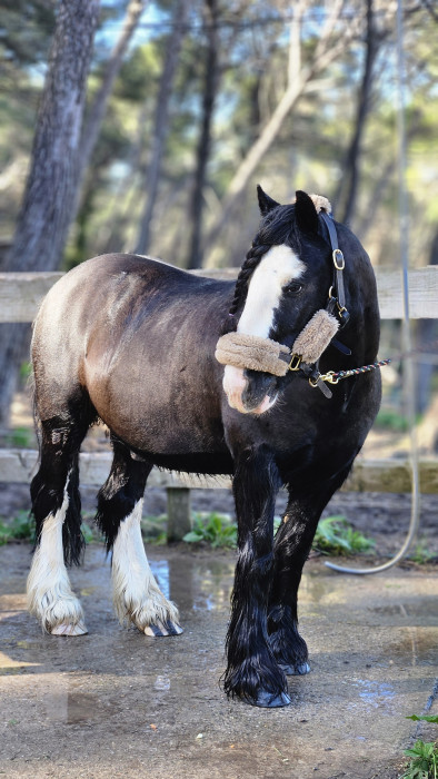 Photo de profil de 94rifigo