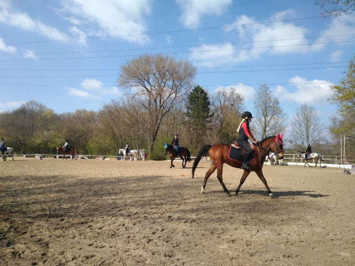 Photo de profil de aaee.mh