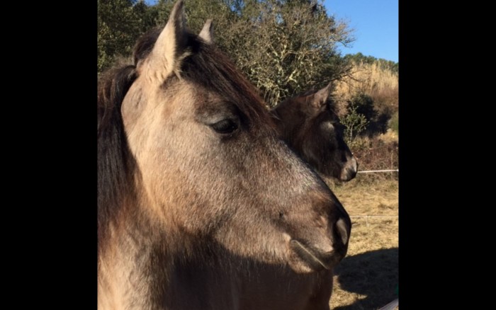 Photo de profil de aamandhhhhhh34