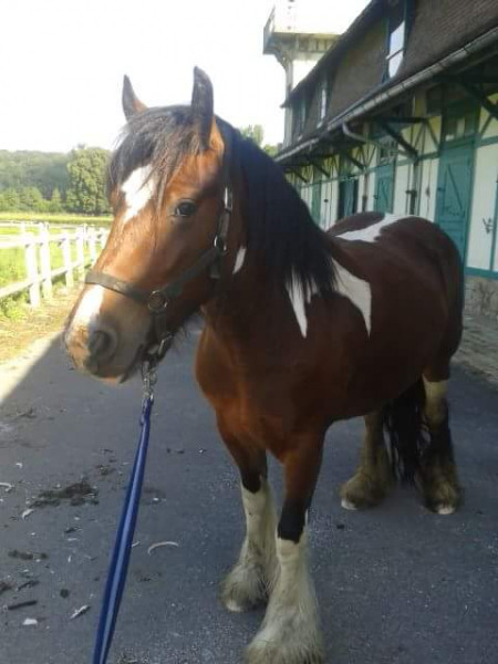 Photo de profil de abie62