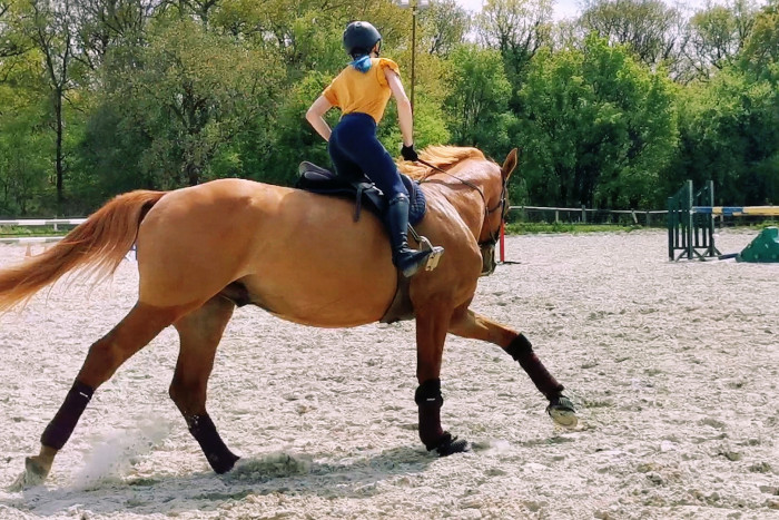 Photo de profil de abluehairedgirl