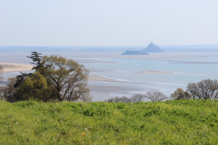 Photo de profil de absolu