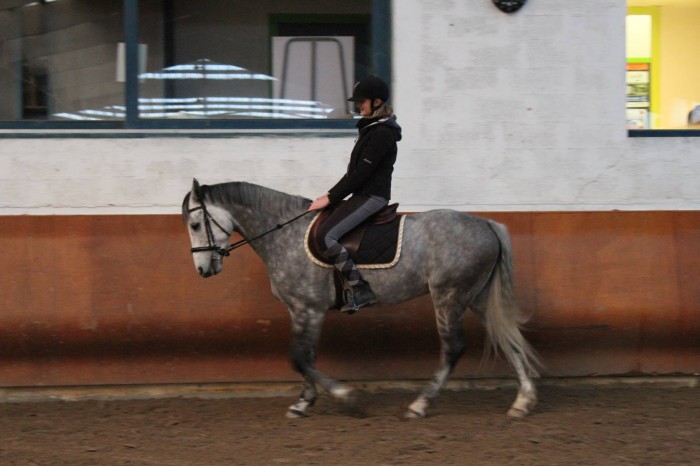 Photo de profil de adeledbt