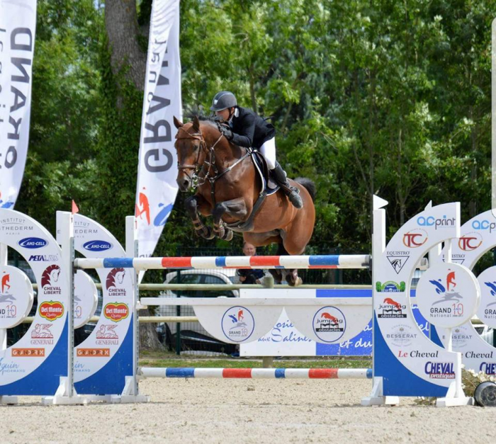 Photo de profil de adjhorsetrading