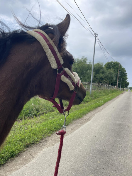 Photo de profil de af40
