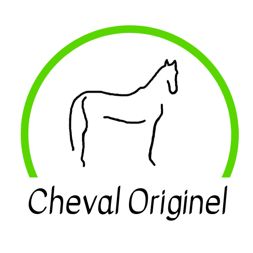 Photo de profil de akhaltekesport
