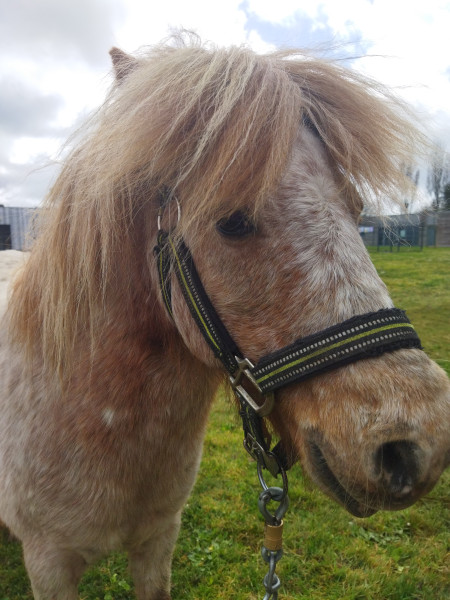 Photo de profil de alaispacaud