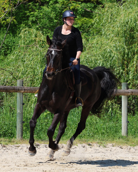 Photo de profil de ala.m