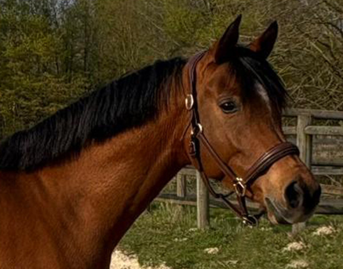 Photo de profil de alay