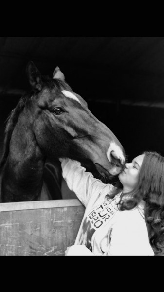 Photo de profil de albanehorse