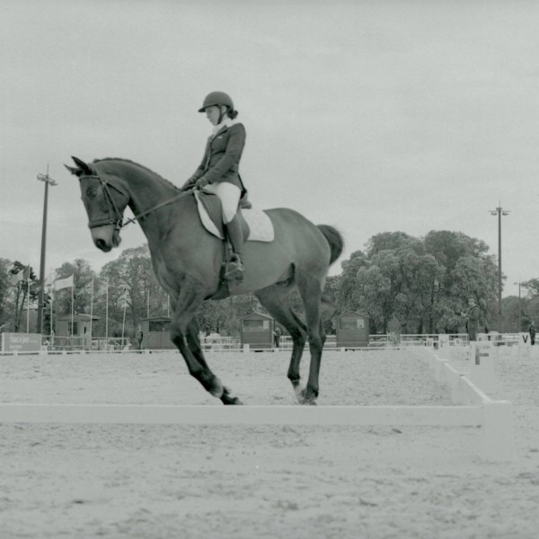 Photo de profil de albaneim