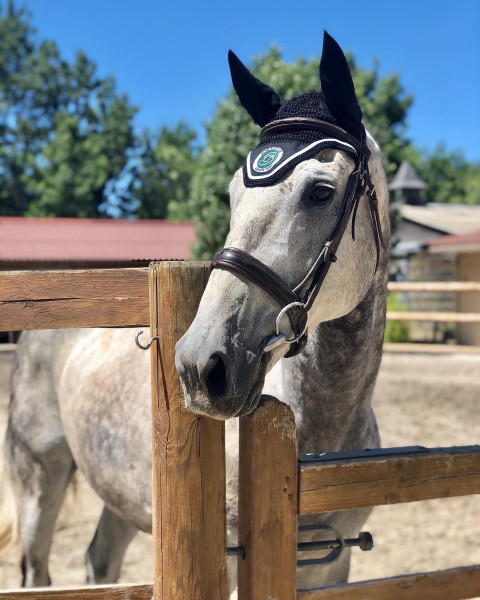 Photo de profil de albane_trn