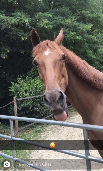 Photo de profil de alele