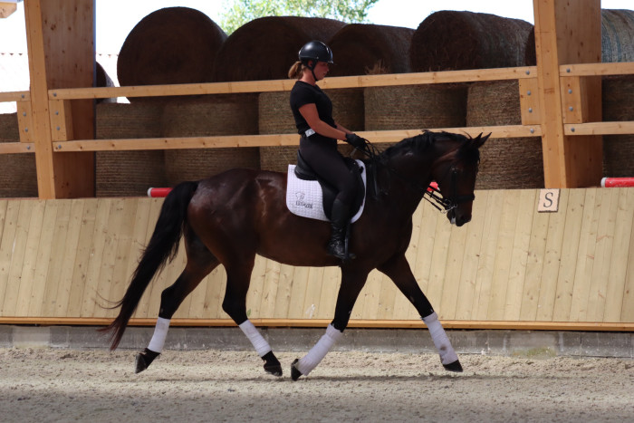 Photo de profil de a_lesavre