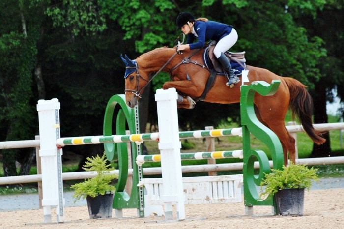 Photo de profil de alessandra.mnst