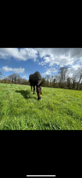 Photo de profil de alex22810