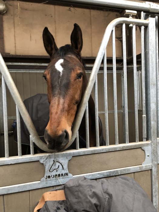 Photo de profil de alex45160