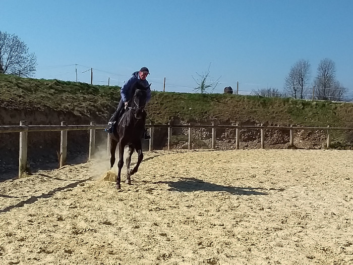 Photo de profil de alexcountry