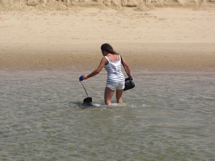 Photo de profil de alexcstr