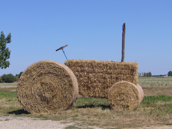 Photo de profil de alexdek