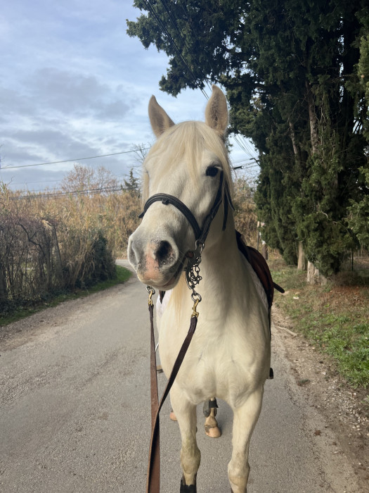 Photo de profil de alexia30126