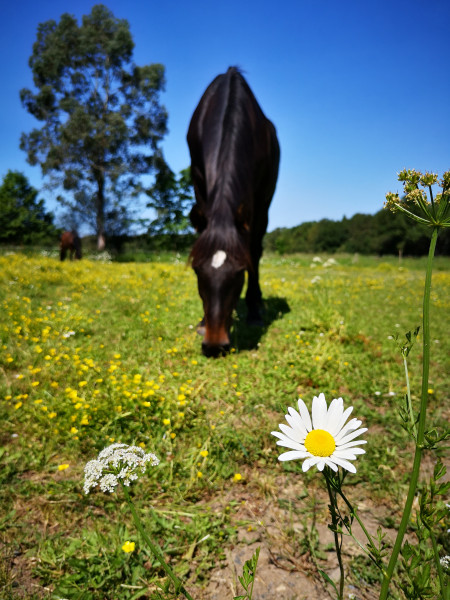Photo de profil de alexiar