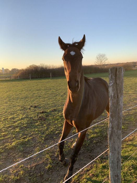 Photo de profil de alexiiiu