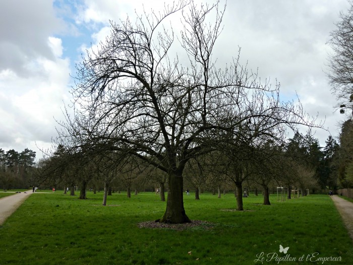 Photo de profil de alexine.t