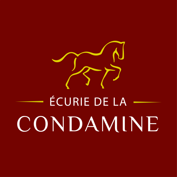 Photo de profil de alexis_tacheix