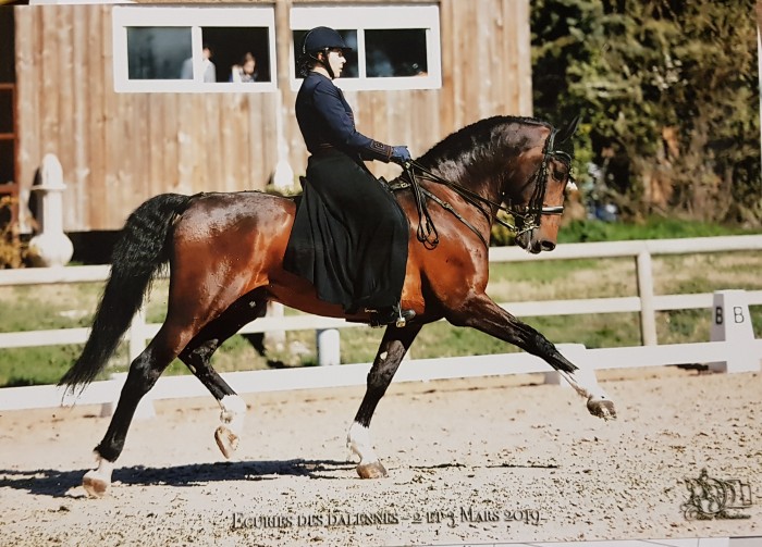 Photo de profil de alex.r13