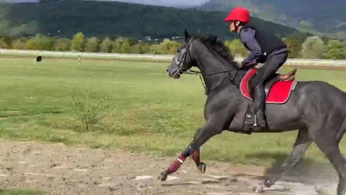 Photo de profil de alexsosso