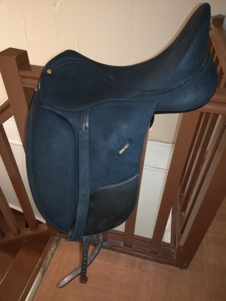 Photo de profil de alfantasia