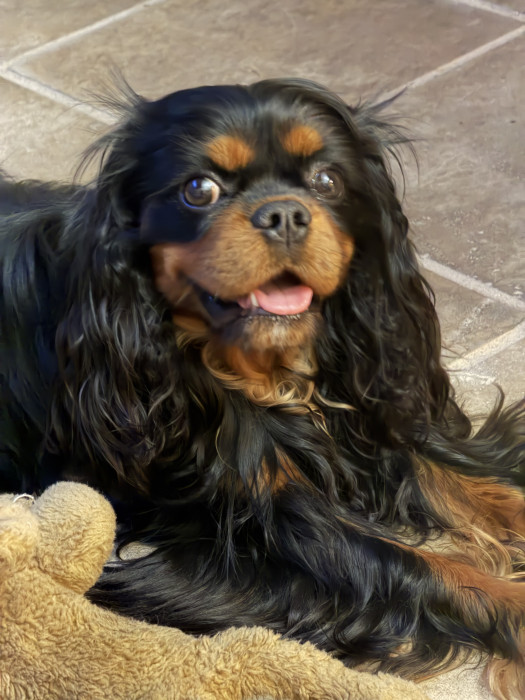 Photo de profil de alfred86