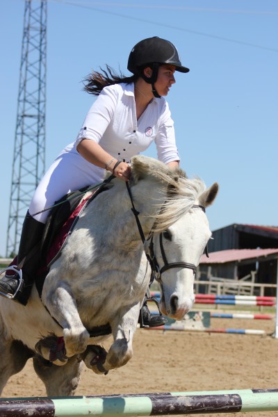 Photo de profil de alice_horse